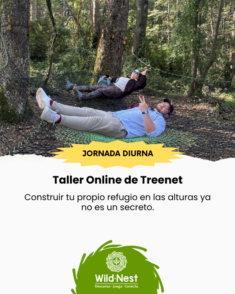 Taller Online Básico de Treenet – Jornada Fin de Semana - 11 y 12 de Julio