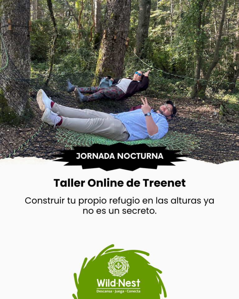 Taller Online Básico de Treenet – Jornada Nocturna - 7 al 9 de Julio