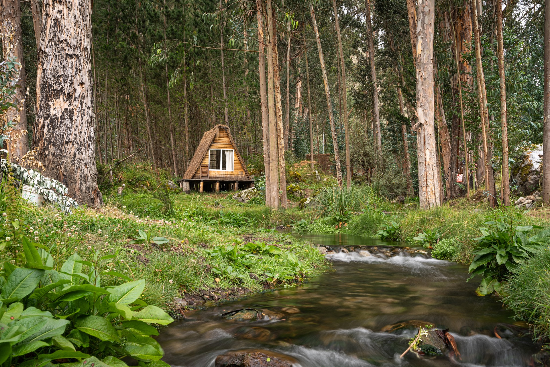 Taller en Huancaya Glamping - Imagen 16