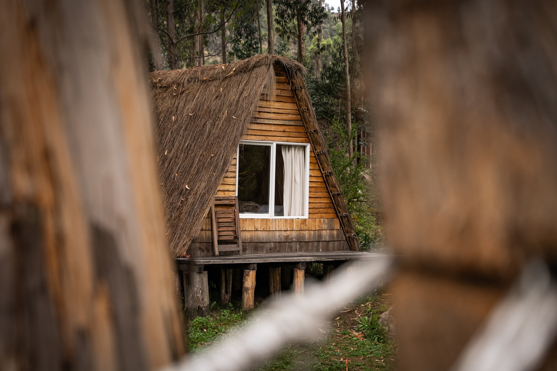 Taller en Huancaya Glamping - Imagen 9