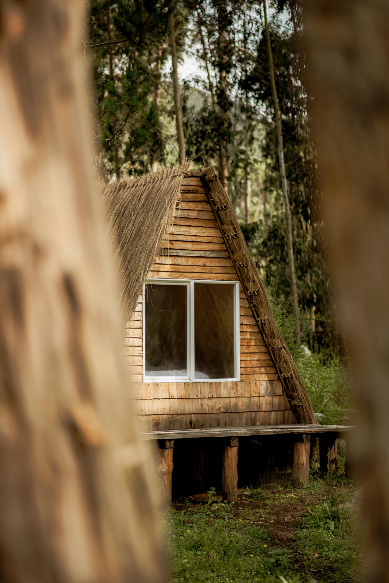 Taller en Huancaya Glamping - Imagen 11